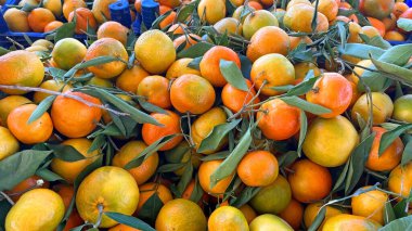 Meyve pazarında satılan lezzetli olgun mandalinalar..