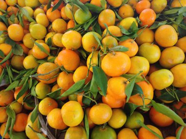 Portakal renginde lezzetli mandalinalar manavda sergileniyor..