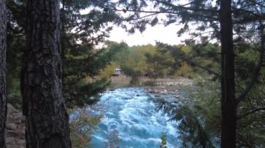 Ormandaki ağaçlarla çevrili bir vadide akan açık mavi nehir. Kprl Kanyonu, Antalya, Türkiye.
