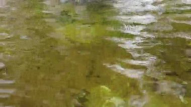 Göldeki suyun hareketi, berrak suyun dalgası..