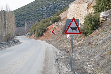 Sığır yol işaret geçiş