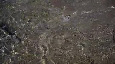 Su manzarası. Denizde dalgalı su yüzeyi ve su dalgaları kayalara çarpıyor..