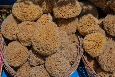 Kişisel bakım, organik materyal ya da Akdeniz yaşam tarzı ile ilgili görseller için ideal.