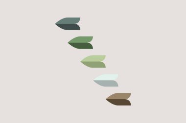 Ok yeşil ve kahverengi set koleksiyonu