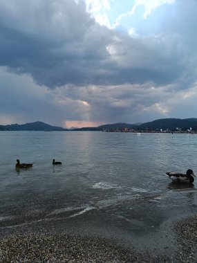 Fırtına gelmek üzere.