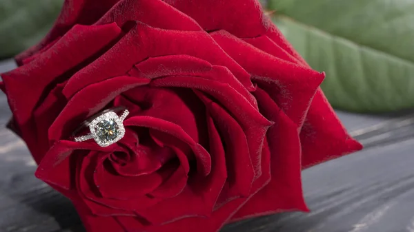Schöner Diamantring Auf Einem Roten Rosenblatt — Stockfoto