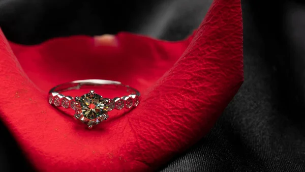Kaunis Timanttisormus Punaisella Ruusun Terälehdellä — kuvapankkivalokuva