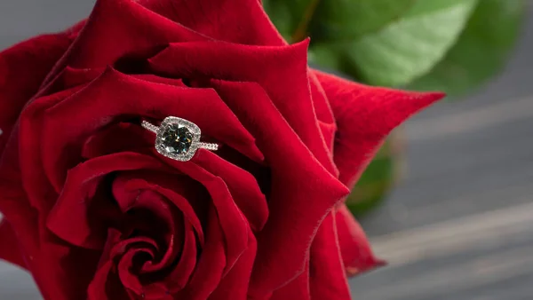 Mooie Diamanten Ring Een Rood Rozenblaadje Stockafbeelding