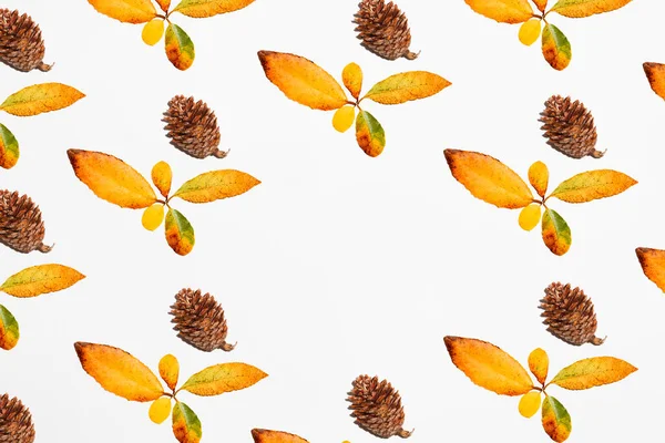 Sarı yaprakları temsil eden sonbahar motifli basit desenler ya da duvar kağıtları bir çiçek ve kahverengi çam kozalağı oluşturur. Estetik sonbahar ve sonbahar kompozisyonu beyaz arkaplan üzerinde mesaj veya metin için kart not alanı.
