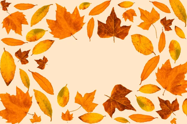 Simple natural autumn theme pattern or wallpaper made with leaves in autumnal colours. Fall or winter high quality photo composition on light pink or white background with a message copy space card note.