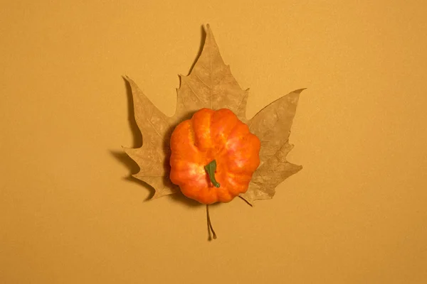 Kahverengi bej arkaplan, akçaağaç yaprağı ve ortasında turuncu bir pompa olan minimum düz sonbahar konsepti.