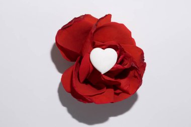 Aşkı ifade etmek için kullanılan metin ya da mesaj alanı fotokopisi içeren basit kart. Beyaz bir kalp ve beyaz arka planda kırmızı bir gül..