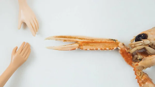 友谊的超现实的概念 两手手掌的连接 以及一钳龙虾或螃蟹的触碰 — 图库照片