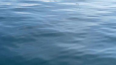 4K, yavaş çekimde yukarıdan dalga gelmeyen sakin bir mavi deniz yüzeyi gösteriyor. Hareketli doğa deniz konsepti.