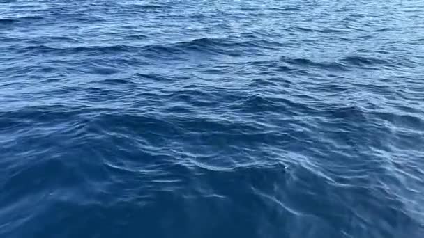 Toont Het Eindeloze Bleu Zeeoppervlak Van Bovenaf Een Slow Motion — Stockvideo