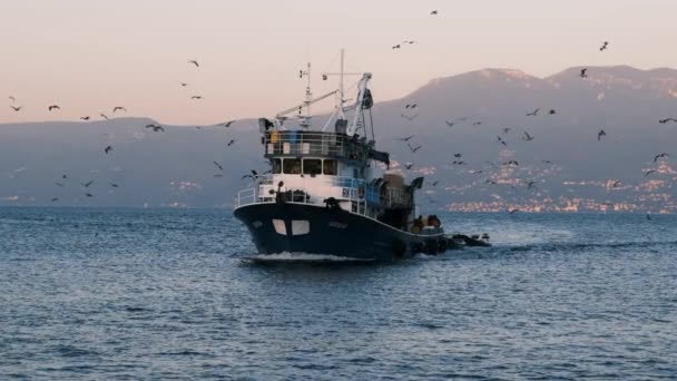 港に戻った漁船のトローラーの4Kでのゆっくりとした動きと 捕獲された魚を食べることを熱望する数十頭のシーガルが続いた 晴れた夏の日に美しい海のシーン — ストック動画