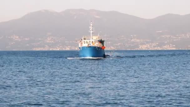 Videó Halászhajó Vonóhálós Hajójáról Amint Visszatér Kikötőbe Amit Több Száz — Stock videók