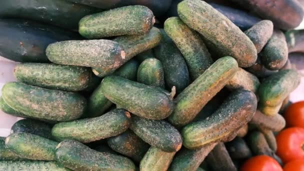 Împușcat Standul Pieței Castraveți Proaspeți Dieta Vegetariana Sanatoasa Recolta Verde — Videoclip de stoc