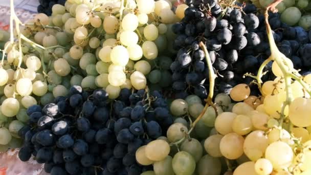 4K和Hd特写 新鲜成熟的绿色和黑色葡萄 使葡萄酒暴露在市场上 — 图库视频影像