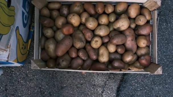 Video Gemaakt Van Een Houten Mand Met Verse Aardappelen Indeling — Stockvideo