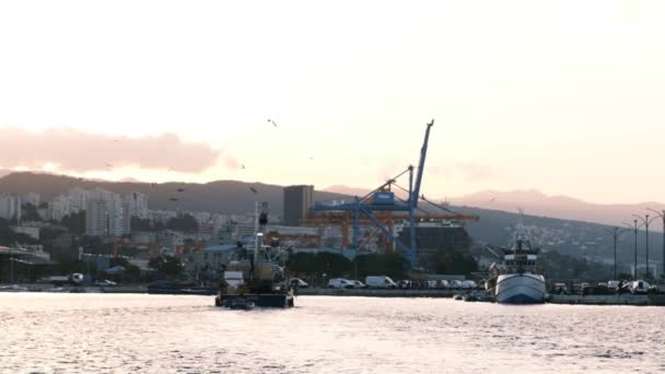 Lassított Felvétel Sebességgel Halász Hajóval Város Kikötőjébe Amit Több Tucat — Stock videók