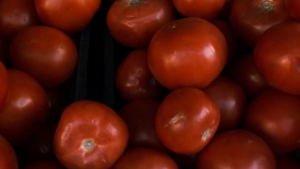Video Lay Out Opgenomen Van Verse Tomaten Blootgesteld Aan Een Rechtenvrije Stockvideo's