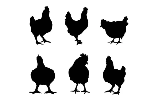 Zestaw Sylwetek Broiler Pieczony Kurczak Wektor Projektu — Wektor stockowy