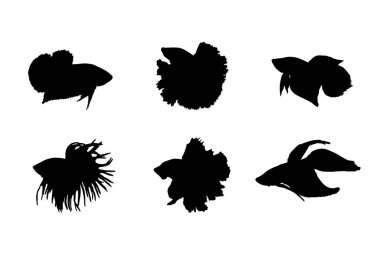 Betta balığı vektör tasarımının siluetleri