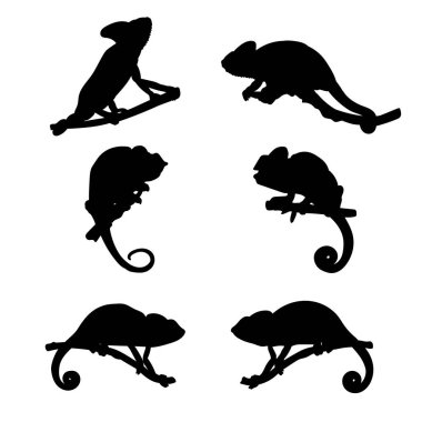 Bukalemun vektör tasarımının siluetleri