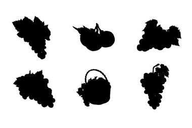 Üzüm vektör tasarımı siluetleri kümesi