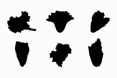 Marul vektör tasarımının siluetleri