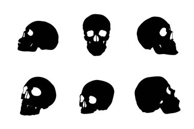 Kafatası vektör tasarımının siluetleri