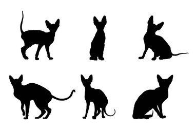 Sfenks kedilerinin siluet dizaynı