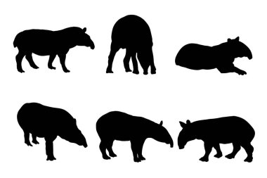 Set of silhouettes of tapirs vector design clipart