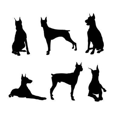 Doberman köpeklerinin siluetleri.