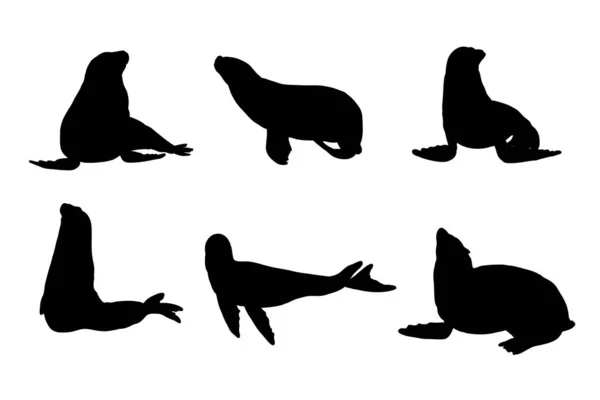 海狮矢量设计的一组轮廓 — 图库矢量图片