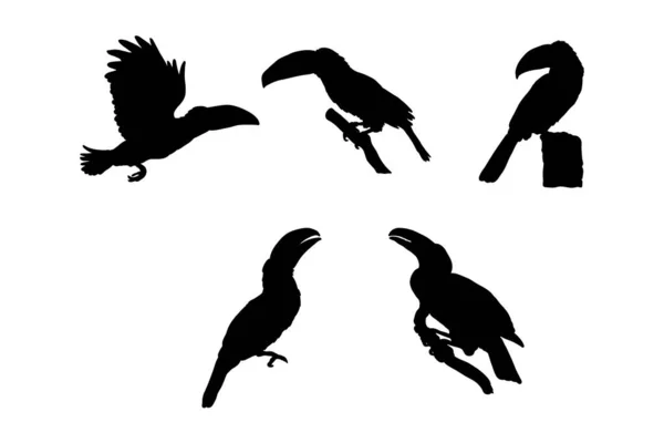 Набір Силуетів Туканського Птаха Векторний Дизайн — стоковий вектор