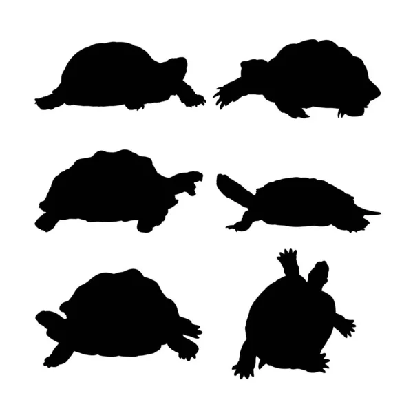 Uppsättning Silhuetter Sköldpaddor Vektor Design — Stock vektor