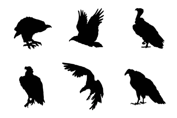 Serie Sagome Avvoltoi Progettazione Vettoriale — Vettoriale Stock