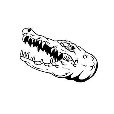 Havalı timsah kafasının elle çizilmiş tasviri