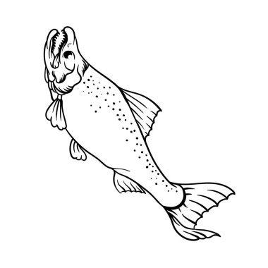 Somon balığı ana hatlarının elle çizilmiş tasarımı