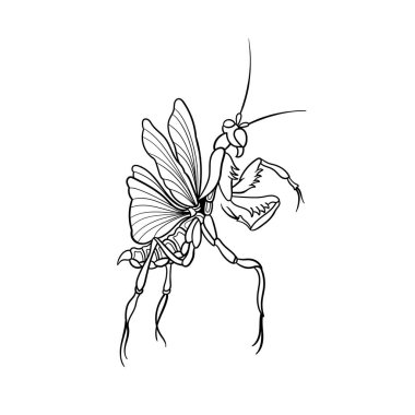 Peygamber devesi vektör tasarımı çizelgesi