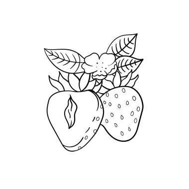 Çilek meyve vektörü tasarımı taslağının resimleme etiketi