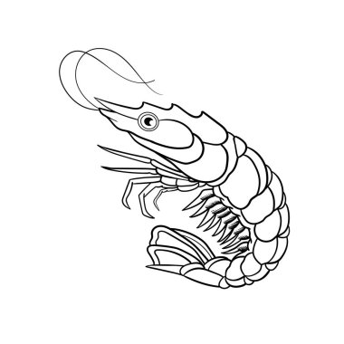 Geleneksel Karides dövmesi ana hatlarının çıkartması