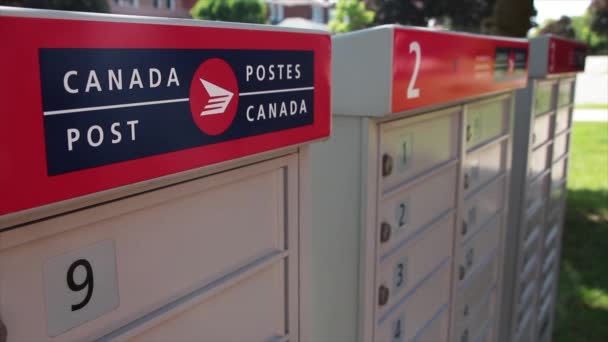 Three Canada Post Community Mailboxes Logo Top Frame Left Pedestrian — Stock Video