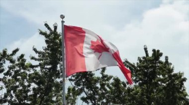 Yıpranmış ve solmuş Kanada bayrağı bayrak direğinde dalgalanırken arka planda çam ağaçları ve bulutlar - yakın çekim