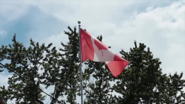 Zużyte Wyblakłe Kanadyjskie Flagi Wiejące Wietrze Maszcie Flagowym Sosnami Chmurami — Wideo stockowe
