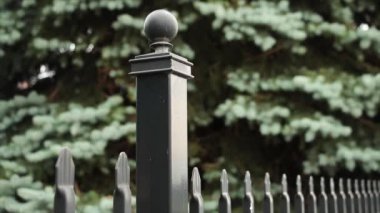 Üstünde dekoratif küre ve arkasında bulanık çam ağacı olan siyah metal bir çitin tepesine yakın.
