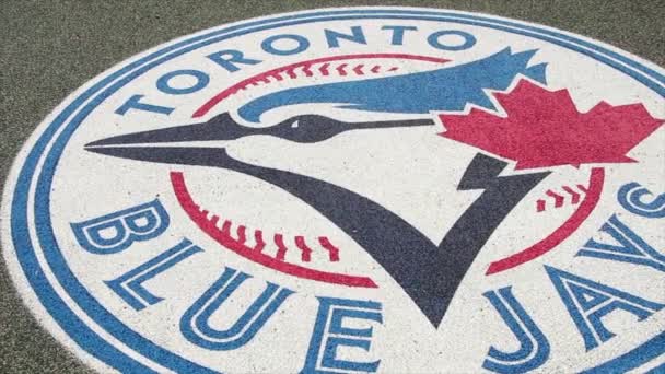 Toronto Azul Gays Círculo Logotipo Impresso Relvado Beisebol Cinza Mostrar — Vídeo de Stock
