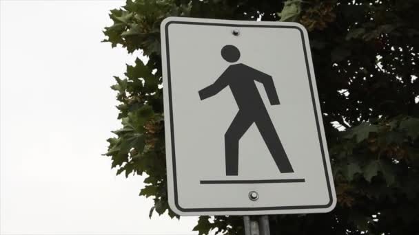 白い長方形のサイン 平らな表面を歩く人の黒いイラスト 金属のポスト 木および背景の空 — ストック動画